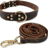 Pet Leash Collar