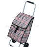 Trolley Case