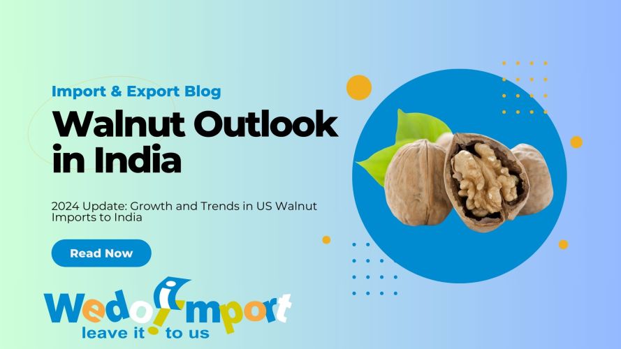 2024 Update: Growth and Trends in US Walnut Imports to India 1