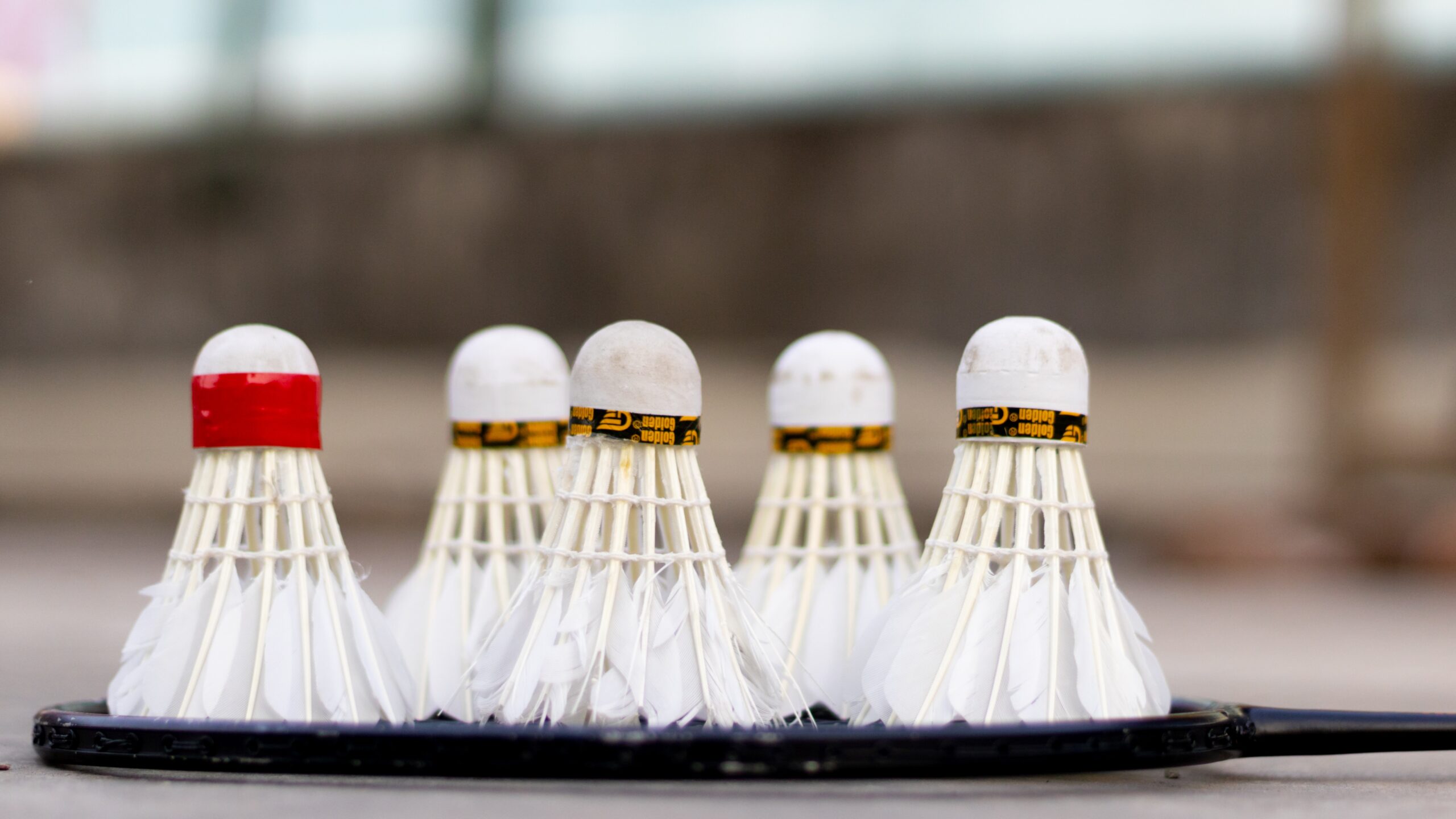 Best Wallpaper Designs Imported from China 6 Exciting Outdoor Games